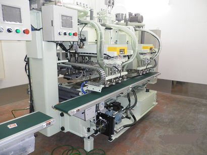 Cuttlefish figure fly molding machine (food industry)